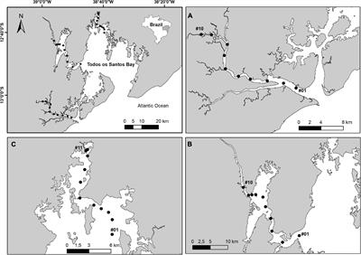 Ecological Functions of Polychaetes Along Estuarine Gradients